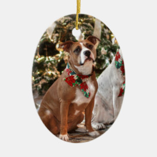 Cute Christmas Rescue Pitbull and America Bull Dog Ceramic Ornament