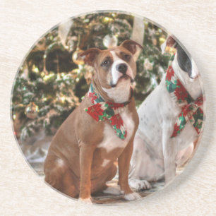 Cute Christmas Rescue Pitbull and America Bull Dog Coaster
