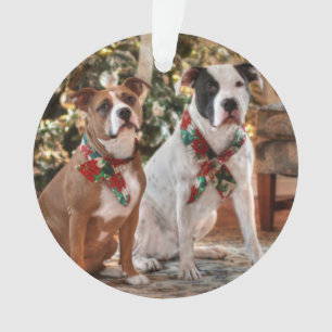 Cute Christmas Rescue Pitbull and America Bull Dog Ornament