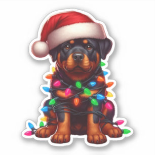 Cute Christmas Rottweiler