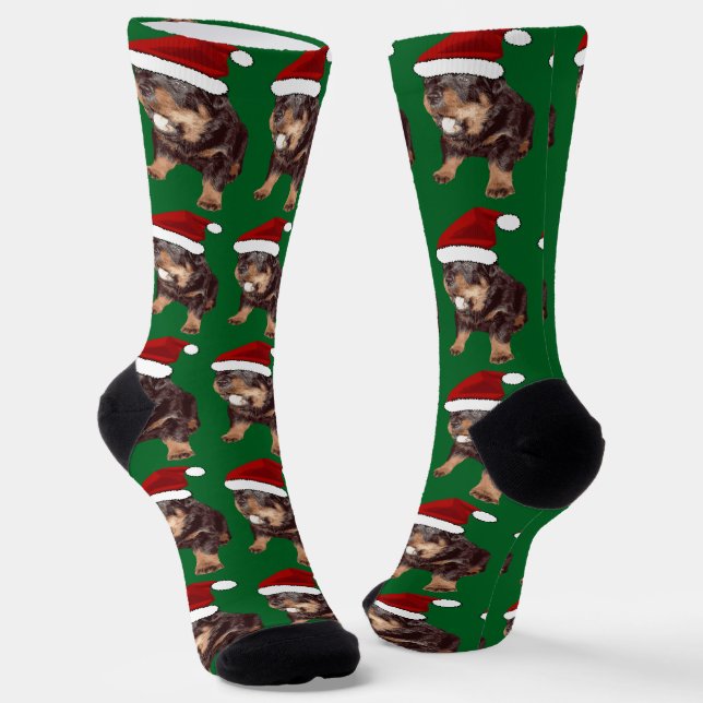 Cute Christmas Rottweiler With Red Santa Hat Socks (Angled)