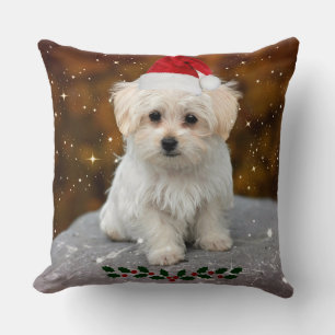 Cute Christmas Santa Claus Maltese Puppy Cushion