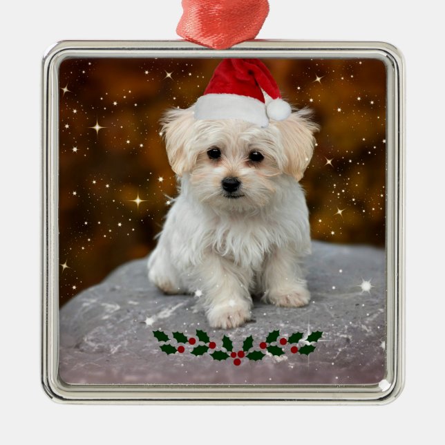 Cute Christmas Santa Claus Maltese Puppy Metal Ornament (Front)