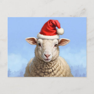 cute christmas sheep postcard
