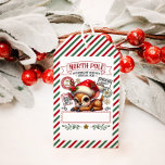 Cute Christmas Special Delivery From Santa Gift Tags<br><div class="desc">Christmas Special Delivery From Santa</div>