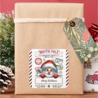 Cute Christmas Special Delivery From Santa