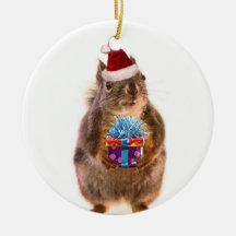 Cute Christmas Squirrel and Gift
