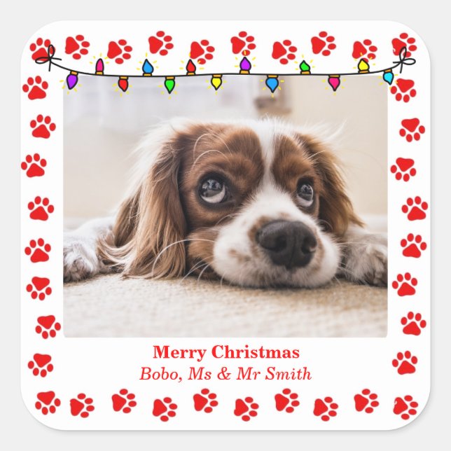 Cute Christmas Stickers with Custom Picture & paws (Front)