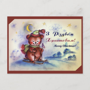 Cute Christmas Teddy Holiday Postcard