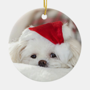 Cute Christmas White Maltese Puppy Dog Ceramic Ornament