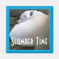 Cute Chubby White Sleeping Puppy Dog Slumber Party