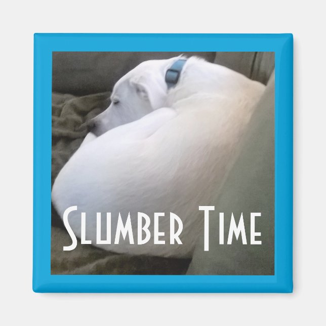 Cute Chubby White Sleeping Puppy Dog Slumber Party Magnet (Front)