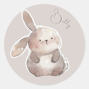 Cute Classic Round Sticker