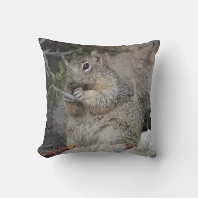 Cute Close-Up Squirrel Throw Cushion (Front)