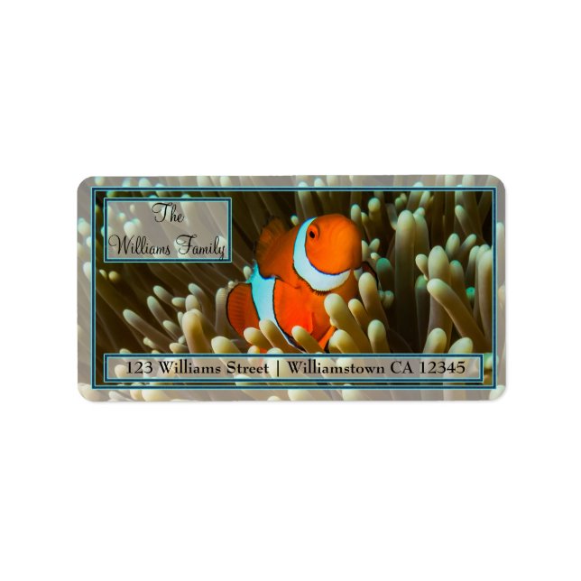 Cute Clownfish Great Barrier Reef Coral Sea Label (Front)