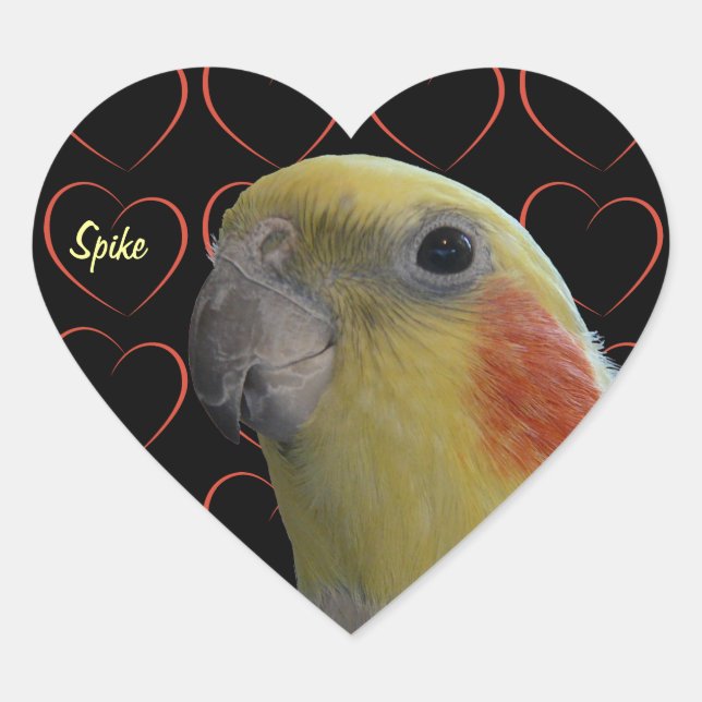 Cute Cockatiel and Hearts Heart Sticker (Front)