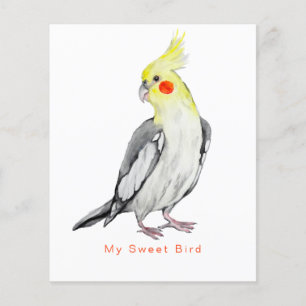 Cute Cockatiel Watercolor Parrot. Flyer