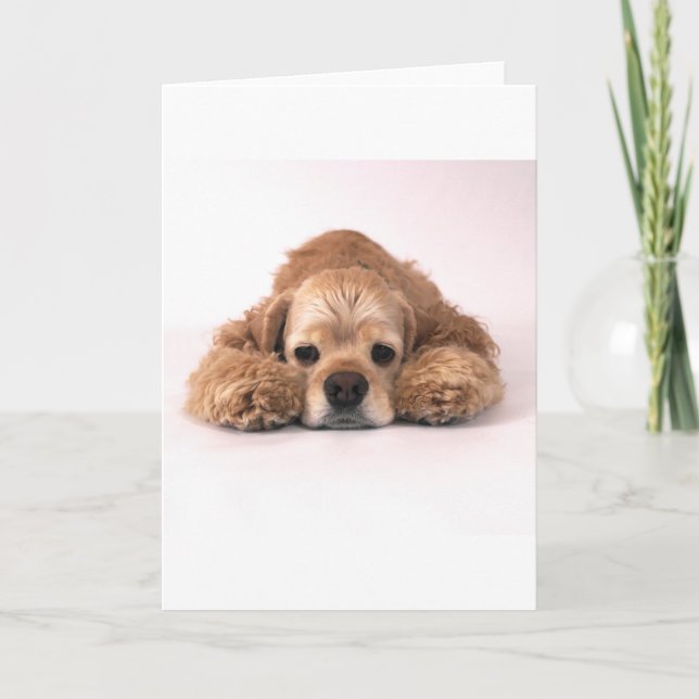 Cute Cocker Spaniel Card (Front)