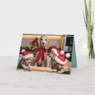 Cute Cocker Spaniel Christmas Cookie Card