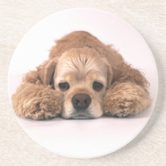 Cute Cocker Spaniel Coaster