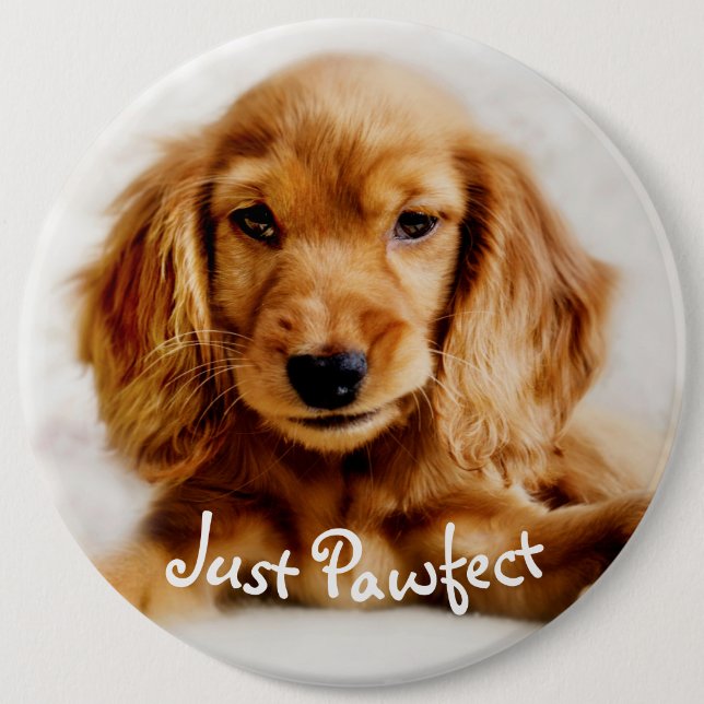 Cute Cocker Spaniel Dog Badge/Pin 6 Cm Round Badge (Front)