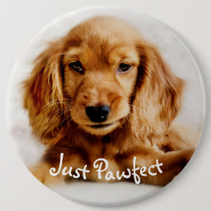 Cute Cocker Spaniel Dog Badge/Pin 6 Cm Round Badge