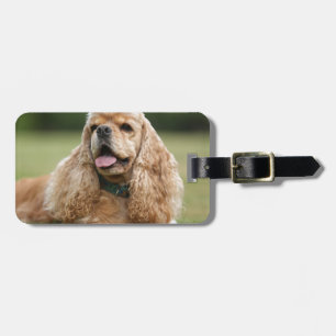 Cute Cocker Spaniel Luggage Tag