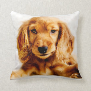 Cute Cocker Spaniel Puppy Cushion