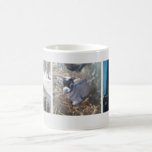 Cute Coffee Mug to Begin Your Day
