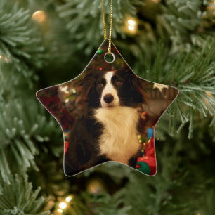 Cute Collie and Christmas Tree Ceramic Ornament
