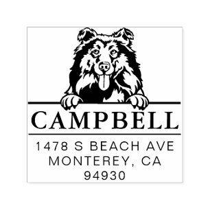 Cute Collie Custom Dog Address Stamp 