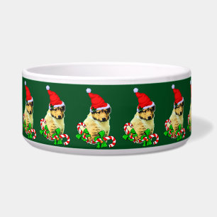 Cute Collie Puppy Christmas