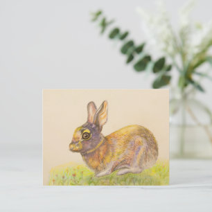 Cute colorful Bunny drawing art Holiday Postcard