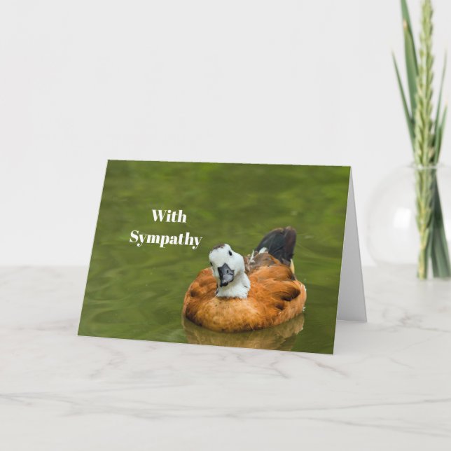 Cute Colorful Duck Photo Sympathy Card (Front)