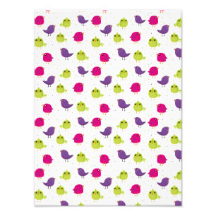 Cute colourful birds photo print