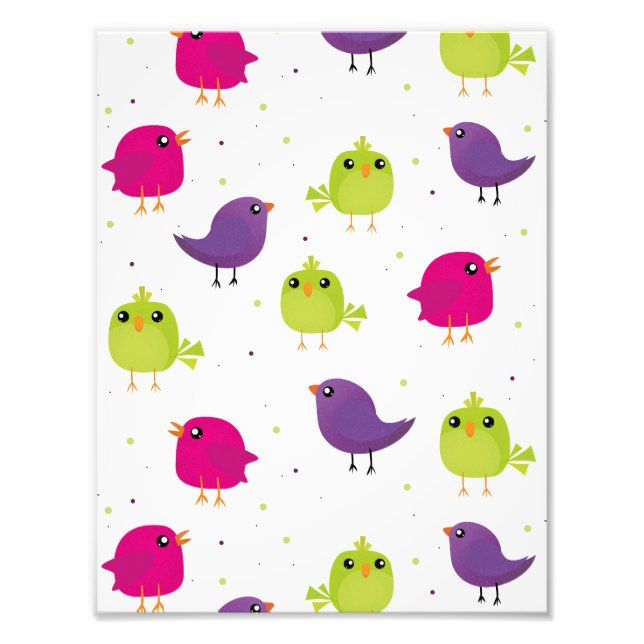 Cute colourful birds  photo print (Front)
