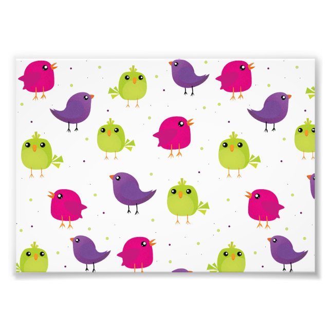 Cute colourful birds  photo print (Front)