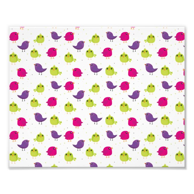 Cute colourful birds  photo print (Front)