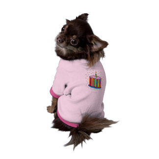 Cute Colourful Birthday Party Cake Shirt