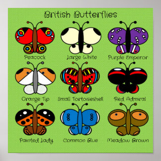 Cute Colourful British Butterfly Poster