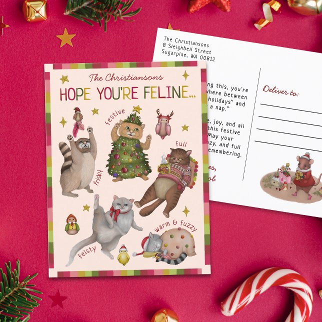 Cute Colourful Cat Lover Feeling Chart Christmas Holiday Postcard (Creator Uploaded)
