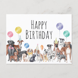 Cute Colourful Dog Happy Birthday Postcard