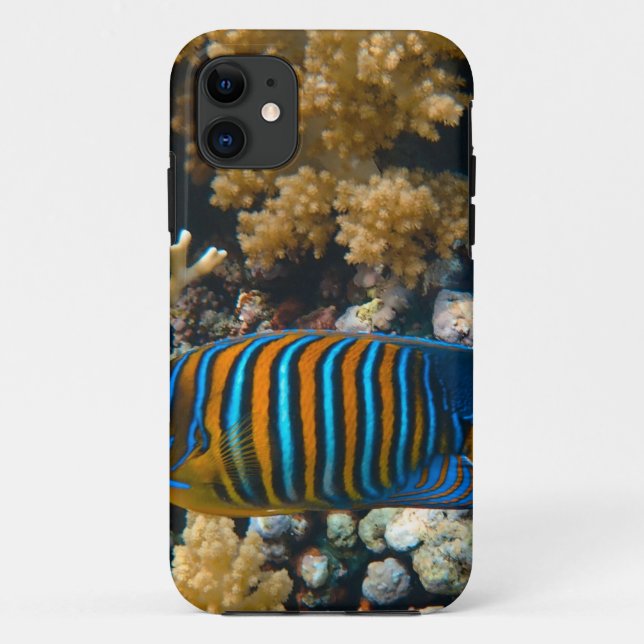 Cute Colourful Fish Case-Mate iPhone Case (Back)