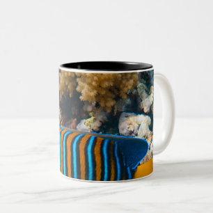 Cute Colourful Fish Two-Tone Coffee Mug