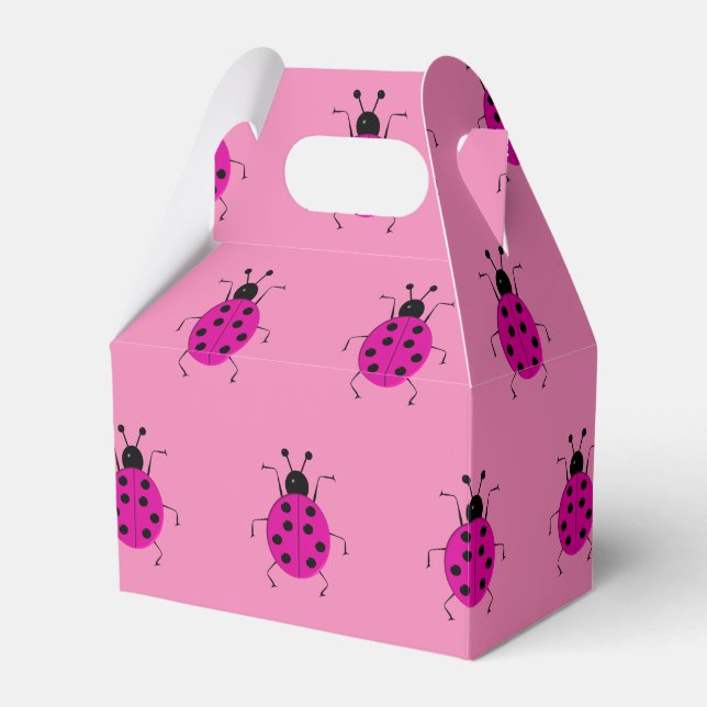 Cute colourful ladybugs ,lucky charm favour box (Front Side)