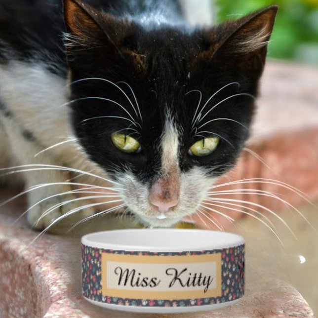 Cute Colourful Tiny Cat Paw Prints on Grey    Bowl (Cute Cat small cat paw prints. Personalized with Cat's name. )