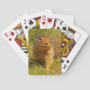 Cute Columbian Ground Squirrel in the Grass Playing Cards