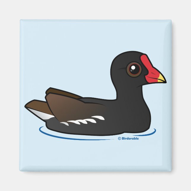 Cute Common Gallinule Magnet (Front)