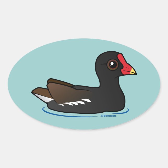 Cute Common Gallinule Oval Sticker (Front)