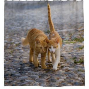 Cute Companioned Kittens Walk Same Path Photo Tub Shower Curtain